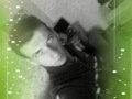 Dawid